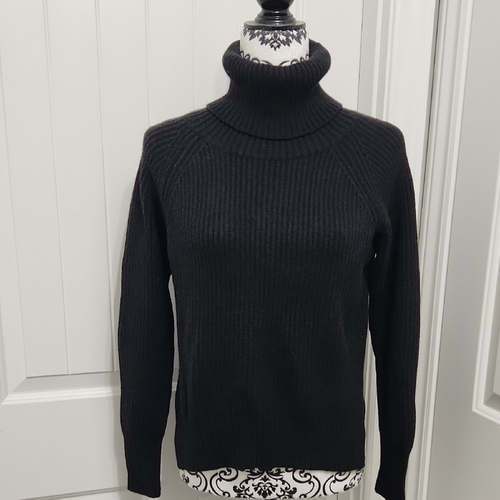 Wilfred Black Turtleneck Sweater
